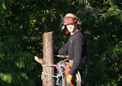 Harbourview Tree Experts Team