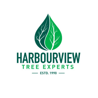 Harbourview Tree Experts