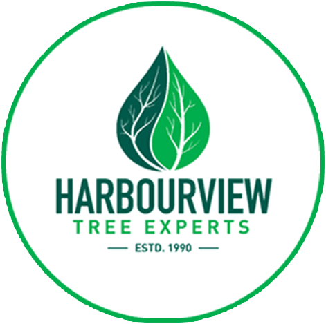 Harbourview Tree Experts