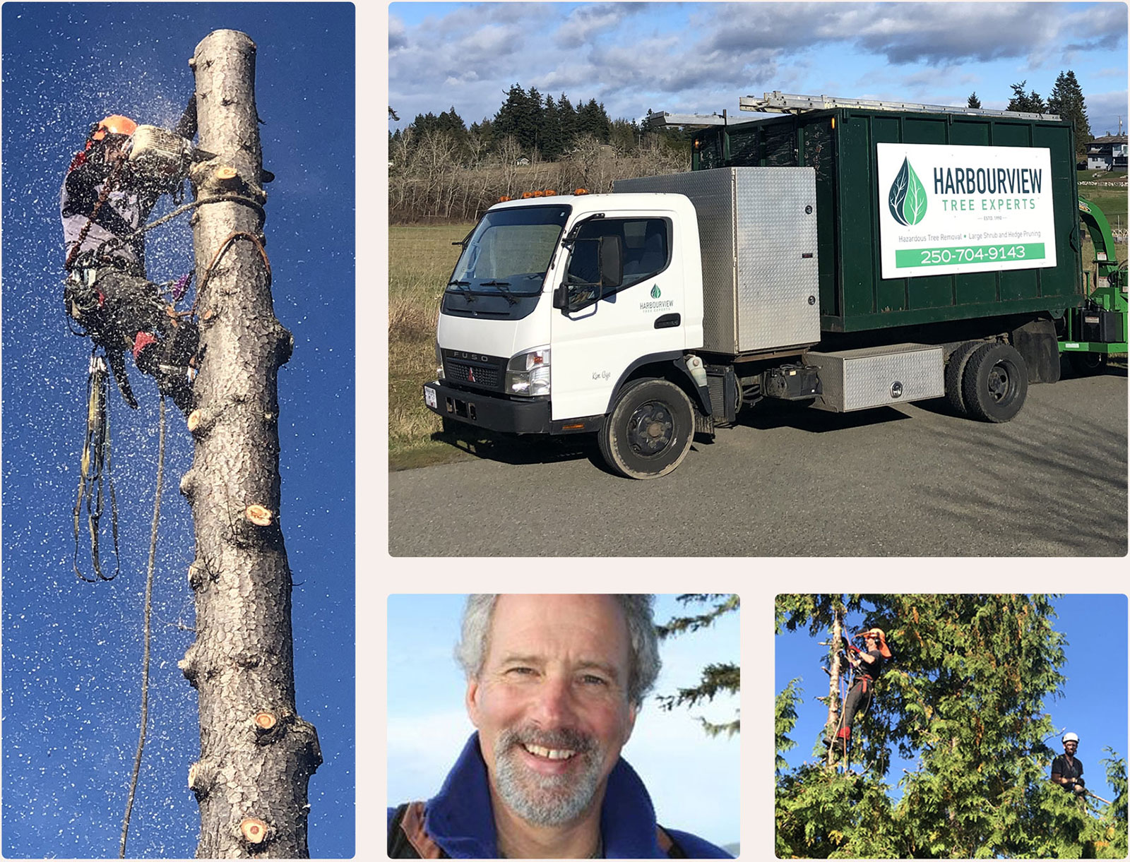 Harbourview Tree Experts Gallery